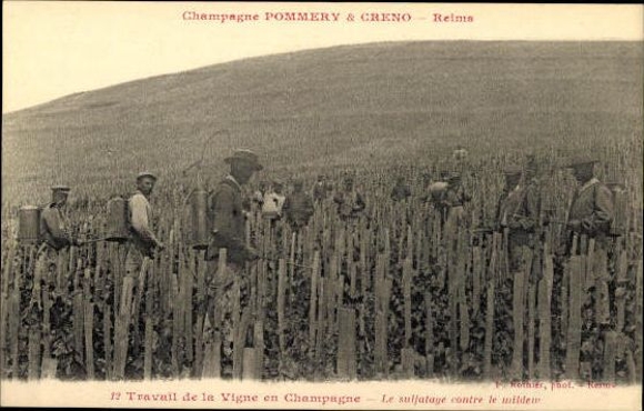 Set with 40 PCs Reims, Caves Pommery, envelope
