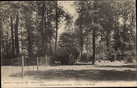 Ak Courcelles sur Viosne Val d´Oise, Parc avec Daims