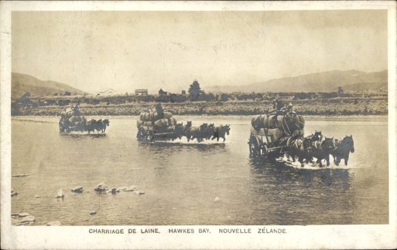 PC Hawke’s Bay New Zealand, Charriage de Laine