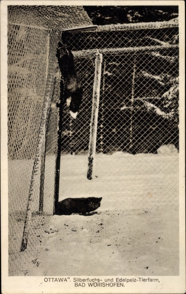Postcard Bad Wörishofen in the Lower Allgäu, silver fox and precious fur animal farm Ottawa