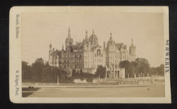 CdV Photo Pig in Mecklenburg-Western Pomerania, Schwerin Castle
