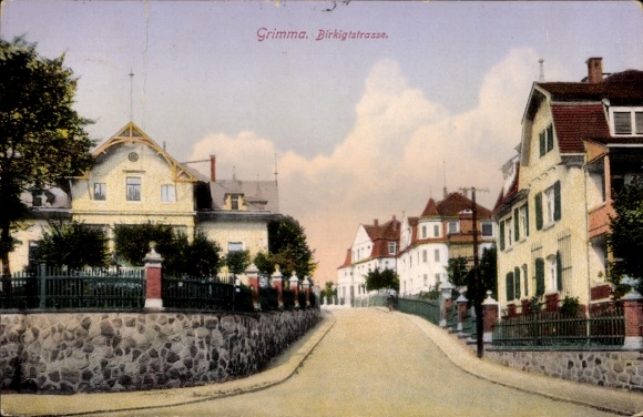 Ak Grimma in Sachsen,  Birkigtstraße, Häuser, Bäume, Straße