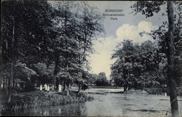 Postcard Borsdorf in Saxony, Schwanenteich Park