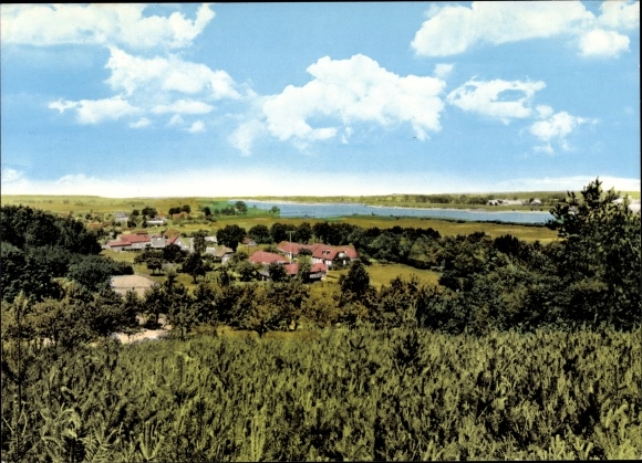 Ak Neu Darchau an der Elbe, Panorama