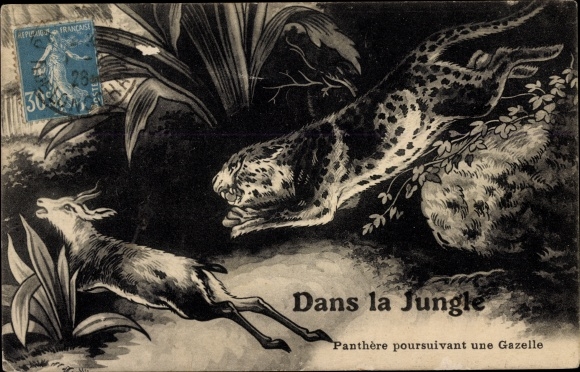 Postcard Dans la Jungle, Panther pursuing a Gazelle