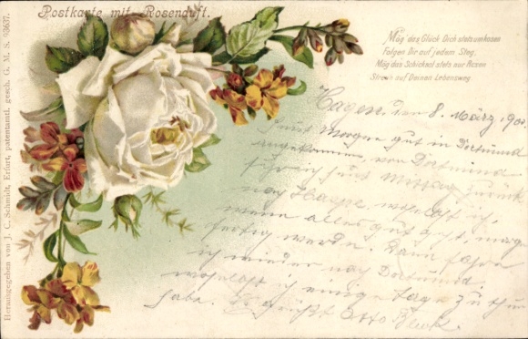 Chromo-Litho White Rose, Rose Scent