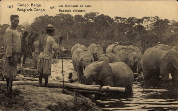 Ganzsachen Ak Belgisch Kongo Demokratische Republik Kongo Zaire, Les elephants au bain