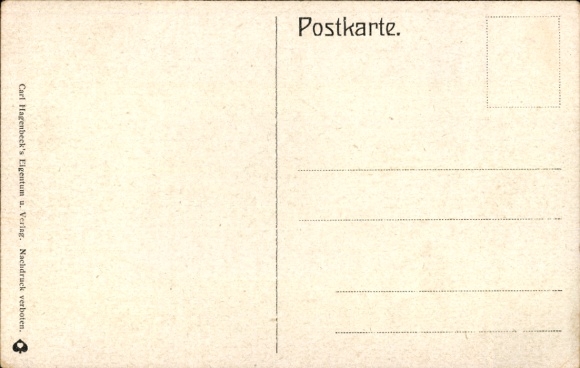 Postcard Hamburg Eimsbüttel Stellingen, Carl Hagenbeck's Zoo, Tiger Gorge, Tiger on Rocks