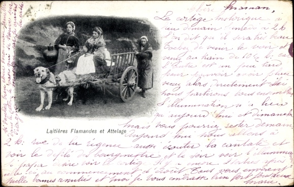 Postcard Flemish Milkmaids, Laitières flamandes, Draft Dog, Dog Cart