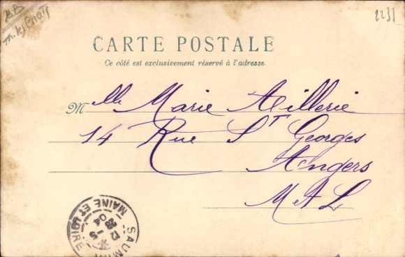 Passepartout Postcard Two young cats, violets