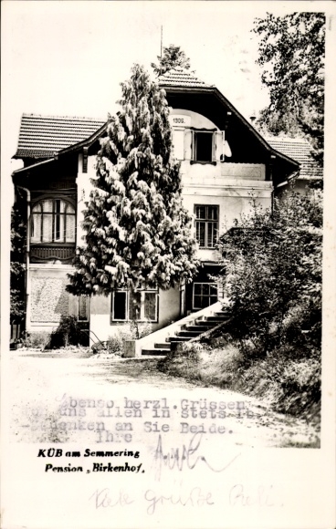 Ak Küb am Semmering Payerbach in Niederösterreich, Pension, Birkenhof