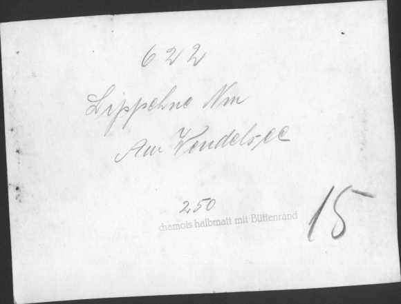 zdjęcie Lippehne Lipiany Ostbrandenburg, widok na miasto, brzeg jeziora