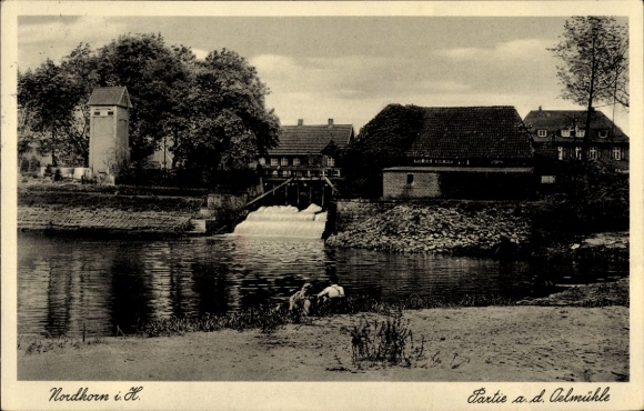 Ak Nordhorn in der Grafschaft Bentheim, Mühle, Wasserfall, Bäume, Gebäude, Fluss, ruhige Landscha