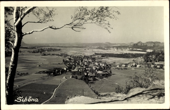Ak Schöna Sächsische Schweiz, Panorama
