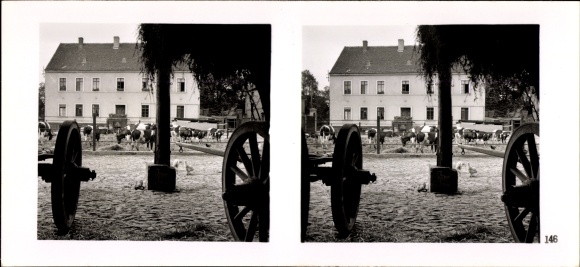 Stereo Raumbild Foto "Die NS-Musterbetriebe 1937-38" Nr. 146, Landwirtschaftl. Betrieb Schwerdtfeger