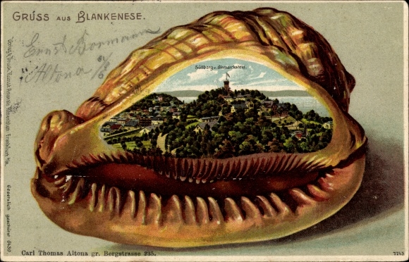 Embossed Shell Chromo-Litho Hamburg Altona Blankenese, Süllberg vom Bismarckstein