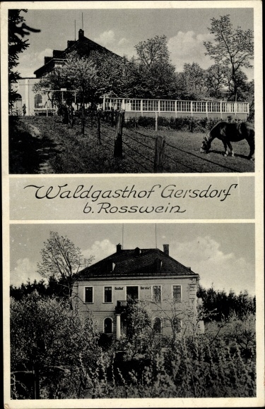 Ak Gersdorf bei Roßwein Striegistal Mittelsachsen, Waldgasthof Gersdorf, Pferd