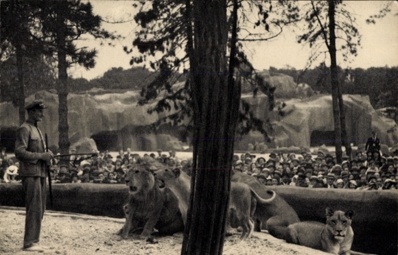 Ak Paris XII Bois de Vincennes, Zoologischer Garten, Löwen, Tierpfleger, Zuschauer
