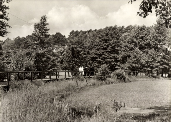 Ak Ferch Schwielowsee, Wiesensteg
