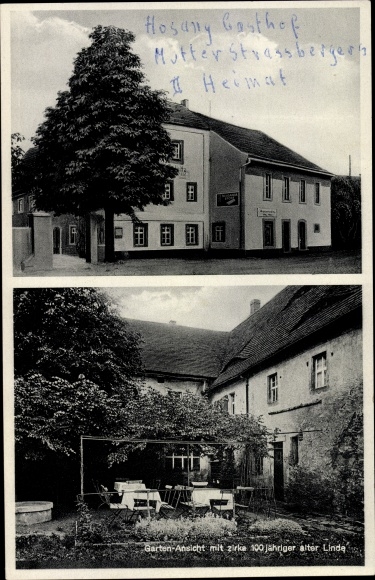 Postcard Oelsitz Riesa on the Elbe, inn, 100 year old linden tree