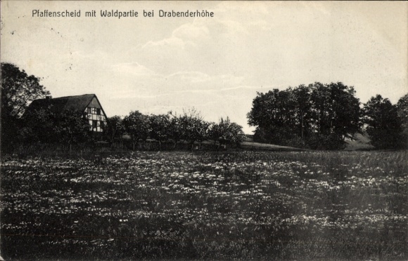Postcard Drabenderhöhe Wiehl in the Oberbergischer Kreis, landscape with forest, house in the background, blooming