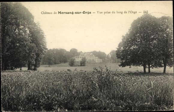 Ak Morsang-sur-Orge Essonne, Château, vue prise du borg de l'Orge