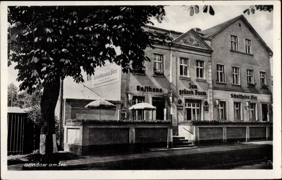 Ansichtkaart Glindow Werder an der Havel, Gasthaus Zum Grünen Baum