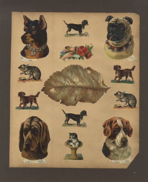 13 wafers dogs and cats, sheet with greeting message, flowers, approx. 8 x 13 cm to 3.5 x 5 cm
