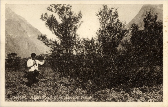 Ak Grönland, Berge, Mann, Bäume, Wiese
