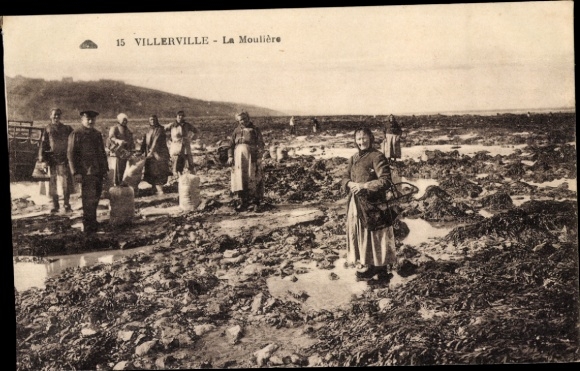 PC Villerville Calvados, shell collector