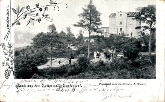 Ak Bendestorf am Kleckerwald in Niedersachsen, Pensionat zum Waldfrieden, A. Müller