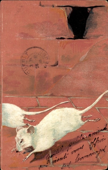 Artist Postcard White Rats, Kitsch
