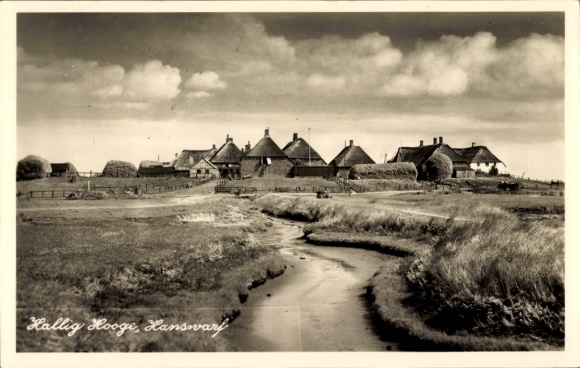 Postcard Hallig Hooge in North Friesland, thatched roof houses, Hanswarf