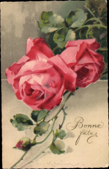 Artist PC Klein, Catharina, roses, blossoms and buds, Meissner &amp; Buch 2025