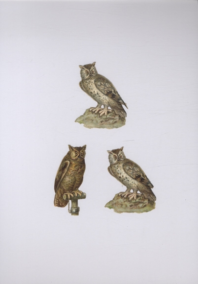 3 wafer owls, each approx. 7 x 5 cm