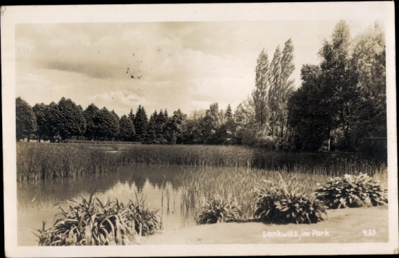 Photo Postcard Berlin Steglitz Lankwitz, Park