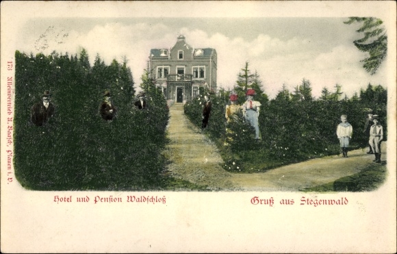 Reliëf Ak Selbitz Landkreis Hof Oberfranken, Hotel en Pension Waldschloss