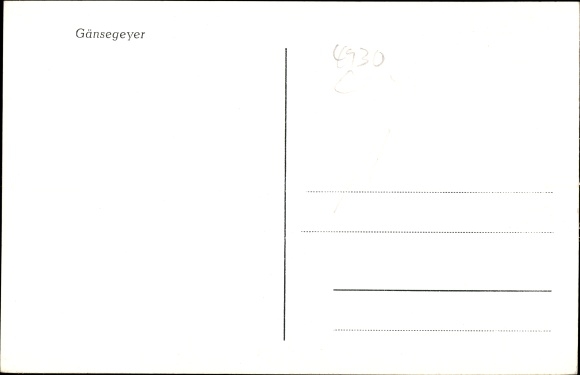 Postcard Berlebeck Detmold in the Teutoburg Forest, Adlerwarte, Gänsegeyer