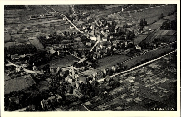 Ak Oestrich Winkel am Rhein Rheingau, Luftaufnahme
