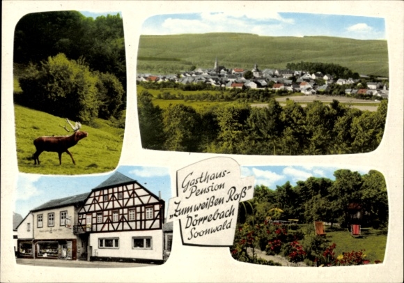 Postcard Dörrebach in the Hunsrück, panorama, deer, inn to the white horse