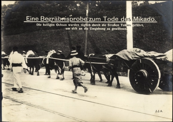 PC Tokyo Pref. Tokyo Japan, funeral rehearsal for the death of Mikado, sacred oxen