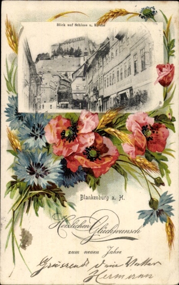 Passepartout Postcard Blankenburg am Harz, castle, church, field flowers, poppies, cornflowers