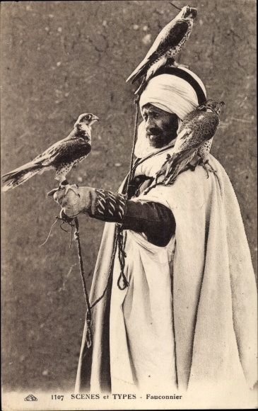Postcard Scenes and Types, Arab Falconer, Falkner, Turban, Maghreb