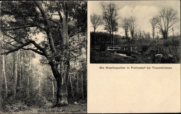 PC Frohnsdorf Treuenbrietzen in Brandenburg, Nieplitzquelle, forest section