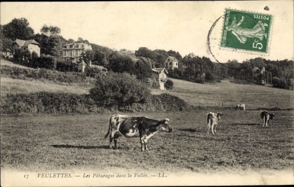 Postcard Veulettes sur Mer Seine Maritime, les Paturages dans la Vallee