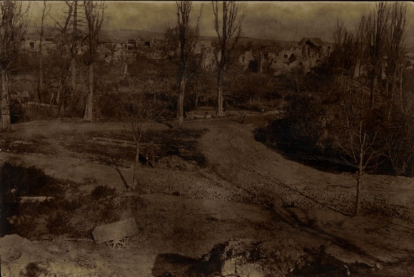 Foto Ak Frankreich, Kriegszerstörungen, Bäume, I. WK