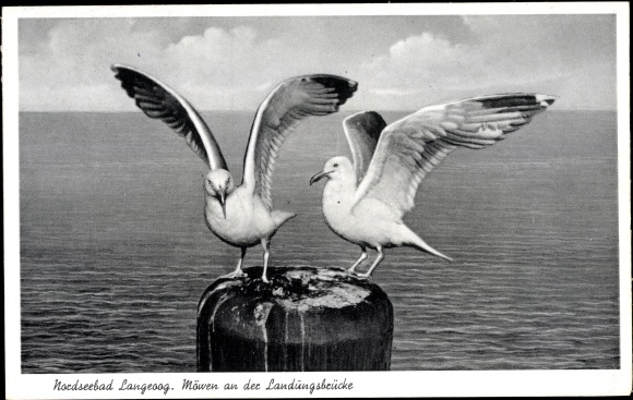 Postcard Nordseebad Langeoog, seagulls at the jetty, sea