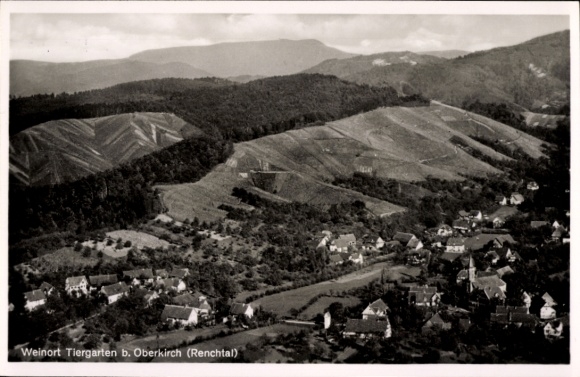 Ak Tiergarten Oberkirch in Baden Württemberg, Renchtal, Panorama, Vogelschau