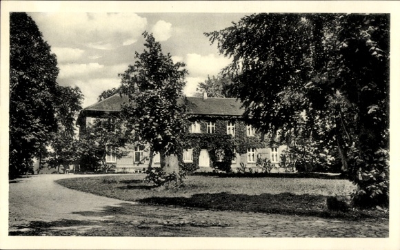 Ak Dunkelsdorf Ahrensbök in Ostholstein, Herrenhaus zur Rose