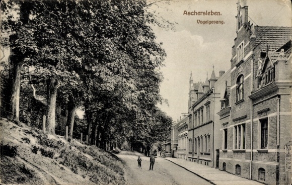 Ak Aschersleben im Salzlandkreis,  Vogelgesang, Straße, Bäume,  Gebäude